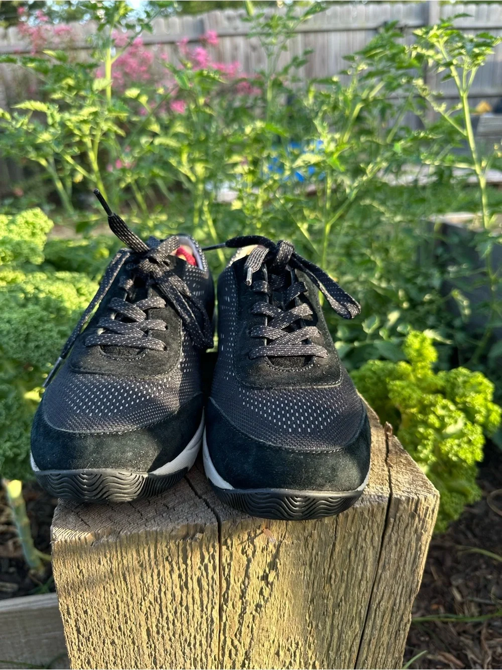 Dansko Women's EU 39 US 8.5-9 Hayes Walking Shoes Leather Lace Up Sneakers